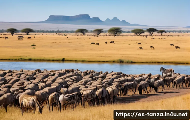 세렝게티 국립공원 여행 팁 - A vibrant scene of the Serengeti during the great migration season in dry weather: endless herds of ...