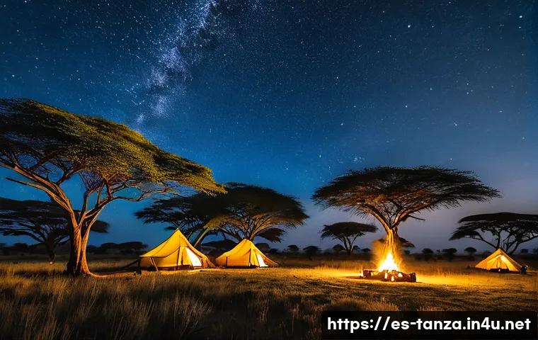 세렝게티 국립공원 여행 팁 관련 이미지 2